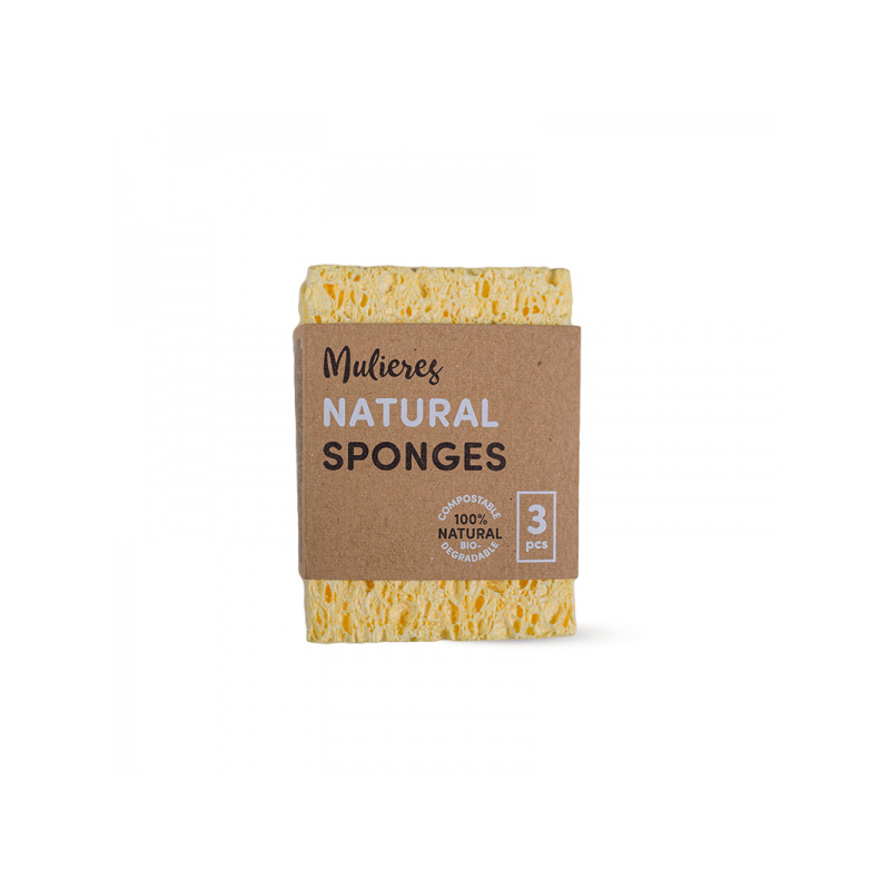 2042-2042_64b90223bbd6a1.64373478_2023_mulieres_sponges_kodukale_large.png