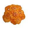 477-477_6723ab21774fe4.48312167_dried-persimmon-slices_large.jpg